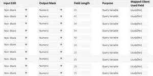 Data Field Configuration Table Screenshot PNG image