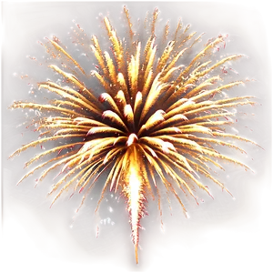 Dazzling Gold Fireworks Display Png 06292024 PNG image