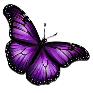 Dazzling Purple Butterfly Png Bvh PNG image