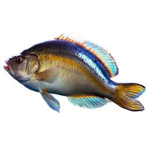 Dead Fish Aesthetic Png Ido22 PNG image