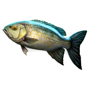 Dead Fish Concept Art PNG 12