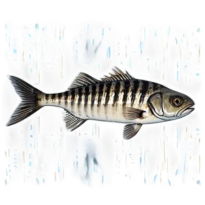 Dead Fish Habitat Destruction PNG 85