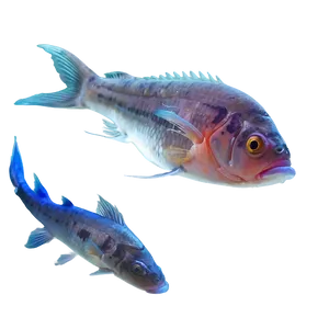 Dead Fish In Aquarium PNG Fas31