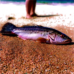 Dead Fish On Beach Png 68 PNG image