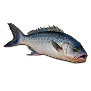 Dead Fish Over Pollution PNG 06132024