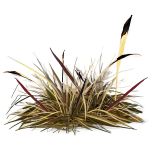 Dead Grass And Leaves PNG 06282024