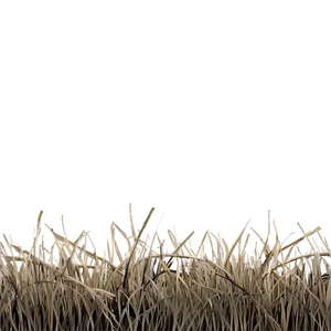 Dead Grass Background PNG 06282024