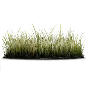 Dead Grass Background PNG 45