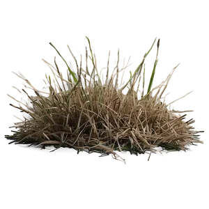 Dead Grass Background PNG Bxb38 PNG