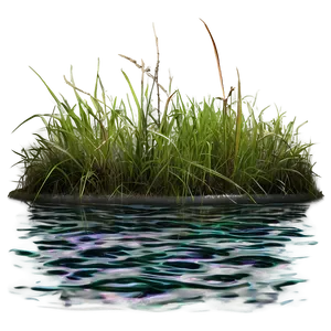 Dead Grass By The River PNG 39 PNG