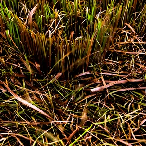 Dead Grass Carpet PNG 06282024
