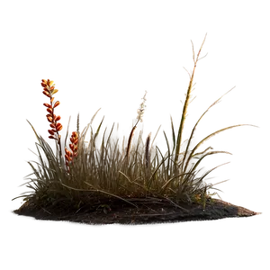 Dead Grass Edge PNG 06282024 PNG