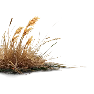 Dead Grass Edge PNG 51
