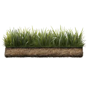 Dead Grass Edge PNG Cky