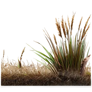 Dead Grass Field Border PNG 69 PNG