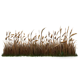 Dead Grass Field Border PNG Smq92 PNG