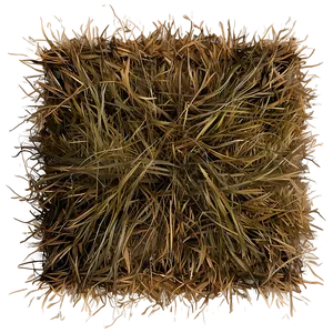 Dead Grass Field Top View PNG Bkw53 PNG