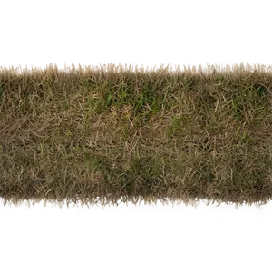 Dead Grass Field Top View PNG Rhf41 PNG
