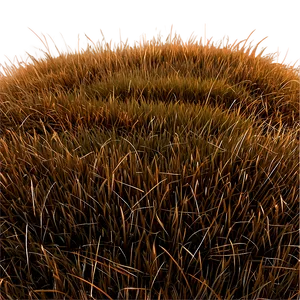 Dead Grass Hill PNG 44