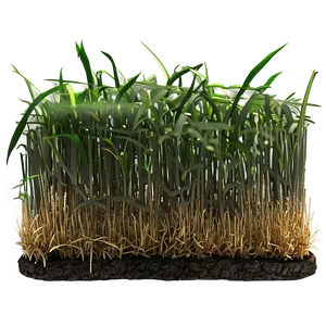Dead Grass In Garden PNG 24