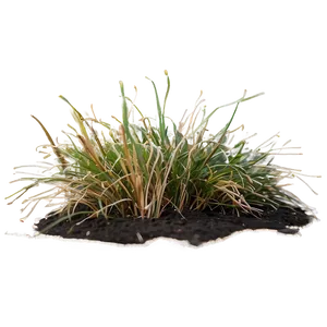 Dead Grass In Garden PNG Hou42 PNG