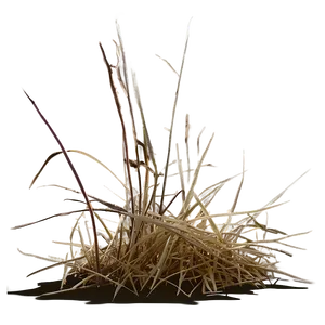 Dead Grass In Sunlight PNG Pow77 PNG