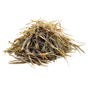 Dead Grass In The Morning PNG 84 PNG