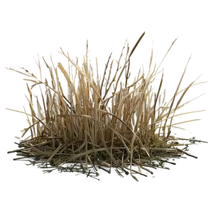 Dead Grass Matte PNG Hku33 PNG