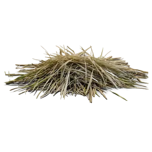 Dead Grass Overlay PNG Uqr