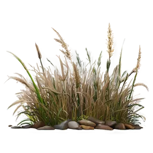 Dead Grass Pattern PNG 06282024