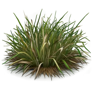 Dead Grass Pattern PNG 63