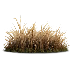 Dead Grass Plain PNG 06282024 PNG