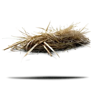 Dead Grass Plain PNG Csb41 PNG