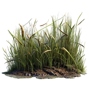 Dead Grass Plain PNG Fpn PNG