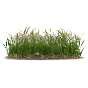 Dead Grass Sward PNG 06282024 PNG