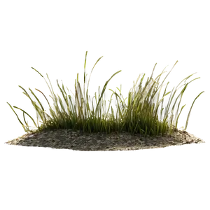 Dead Grass Sward PNG Cdw60 PNG