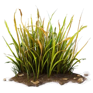 Dead Grass Sward PNG Ldo18 PNG