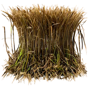 Dead Grass Texture Close-up PNG Jtb PNG