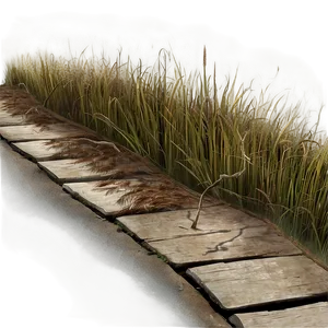 Dead Grass Track PNG Oty58 PNG