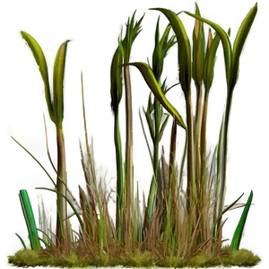 Dead Grass Tuft Png 06282024 PNG image