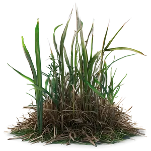 Dead Grass Tuft Png 47 PNG image