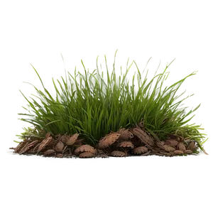 Dead Grass Tuft Png Kce PNG image