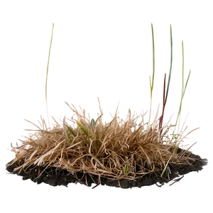 Dead Grass Underfoot Png Ght62 PNG image