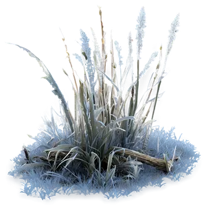 Dead Grass With Frost PNG 22 PNG