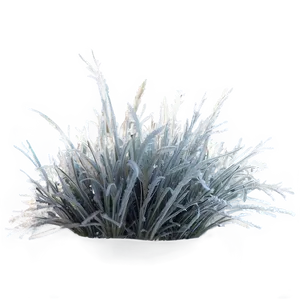 Dead Grass With Frost PNG 34 PNG