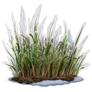Dead Grass With Frost PNG 63 PNG