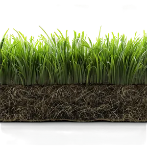 Dead Lawn Grass Png 45 PNG image