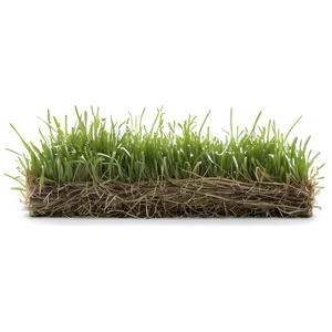 Dead Lawn Grass Png 64 PNG image