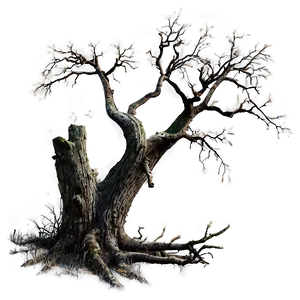 Dead Tree And Fog PNG 80 PNG