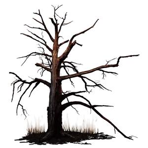 Dead Tree At Night PNG 05252024 PNG